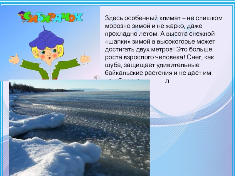 Климат с мягкой зимой и прохладным летом. Климат с холодными морозными зимами и жарким летом называется. Снежок Байкальский. Где зимой жарко летом холодно.