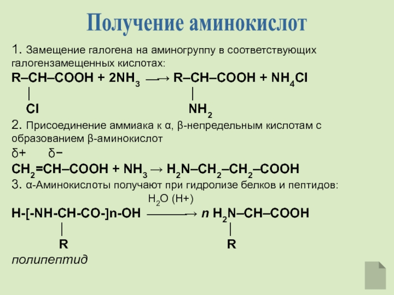 Место синтеза аминокислот