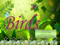 Birds
