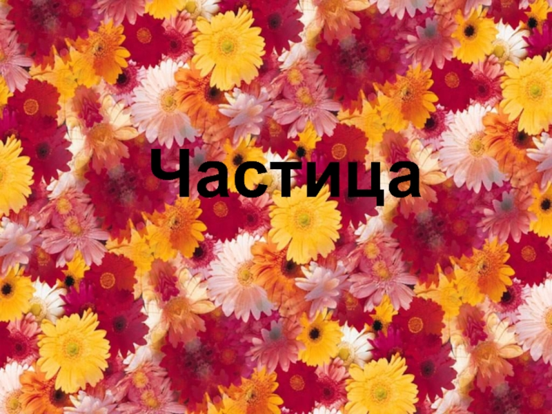 Частица 7 класс