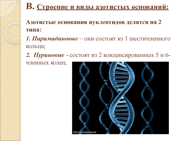 Днк 11. Структура ДНК кольцо. 5 Шестичленных колец.