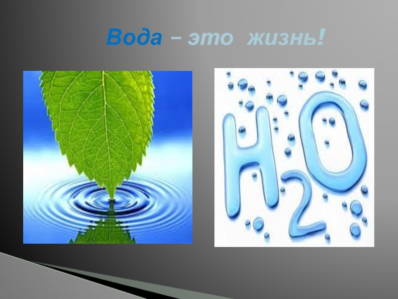 Вода это жизнь. Вода в продуктах. Вода это жизнь по английски. Вода это жизнь картинки 2 класс. Вода это жизнь буквы.