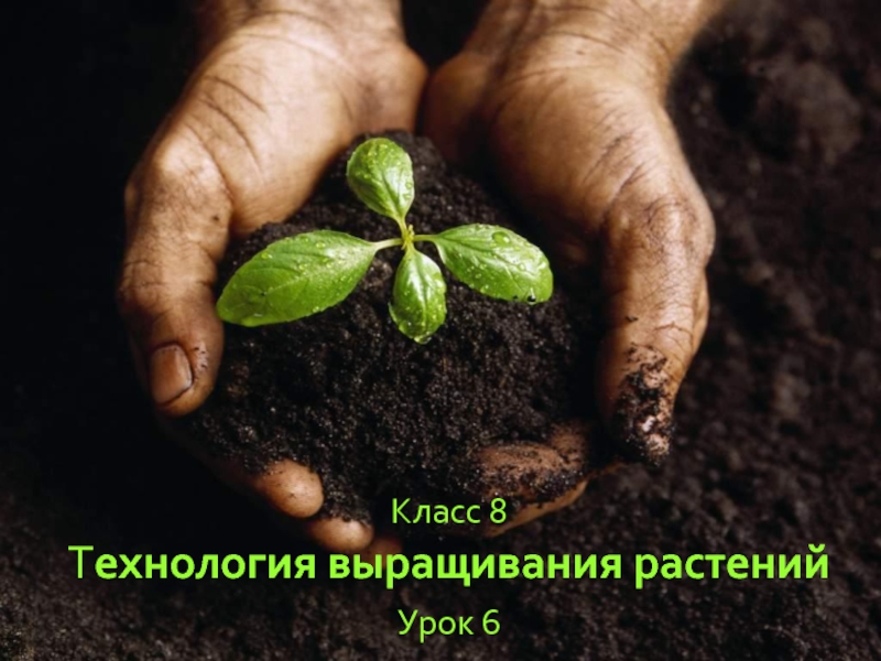 Технология выращивания растений 8 класс