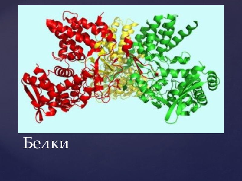 Презентация белки 10 класс химия габриелян