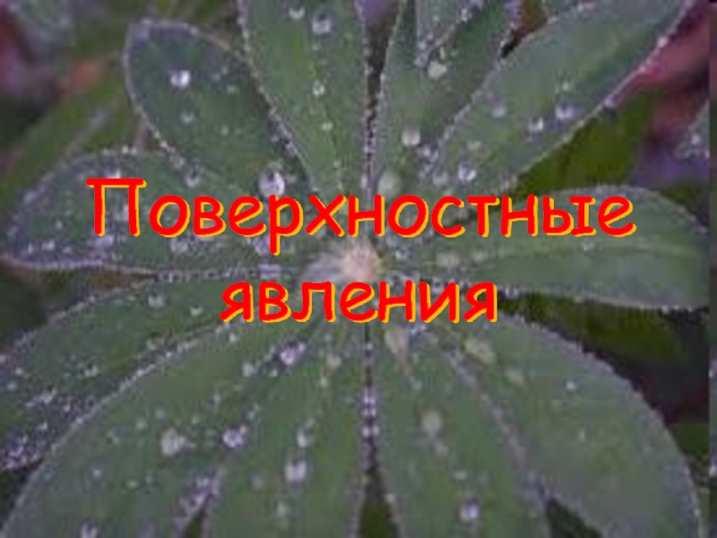 Поверхностные явления