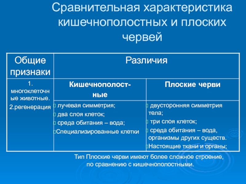 Чем круглые черви отличаются от плоских червей