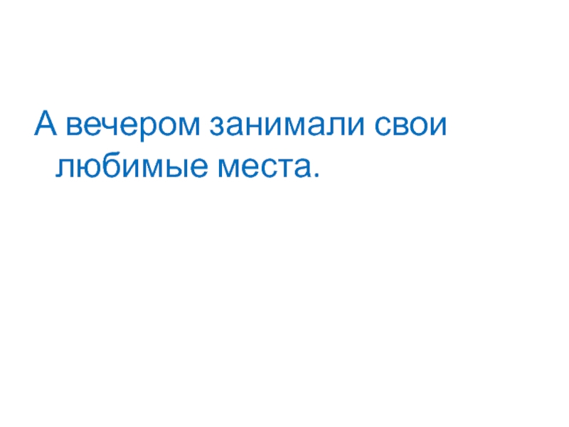 А вечером занимали свои любимые места.