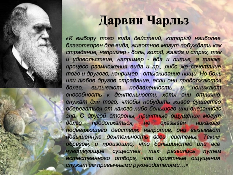 Учение Чарльза Дарвина об естественном отборе