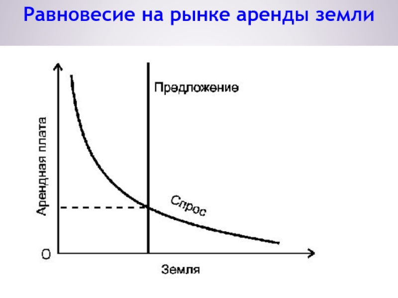 Предложение земли