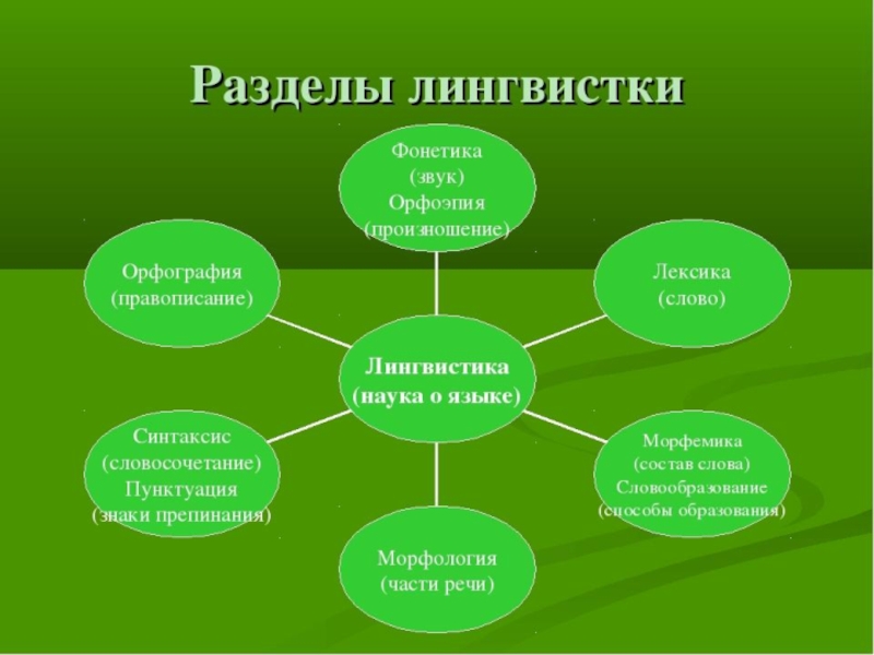 Сложный план на тему разделы науки о языке 6 класс кратко