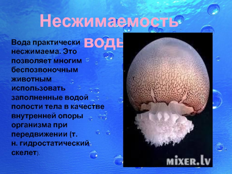 Сжатая жидкость. Несжимаемость воды. Несжимаемость воды это свойство. Почему вода несжимаема. Примеры несжимаемости воды.