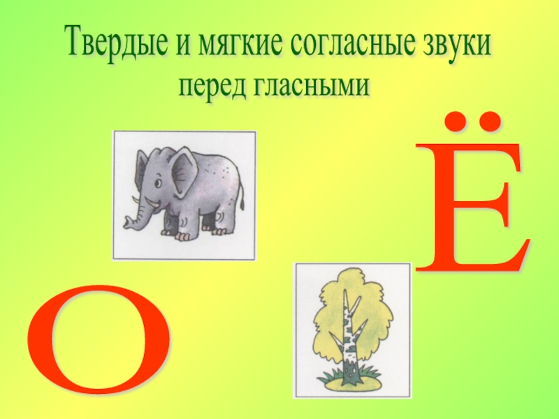 Е твердая. Твердые и мягкие согласные перед е. Различение твердых и мягких согласных перед гласными. Твердые и мягкие согласные перед гласными о – ё. Дифференциация о ё картинки.