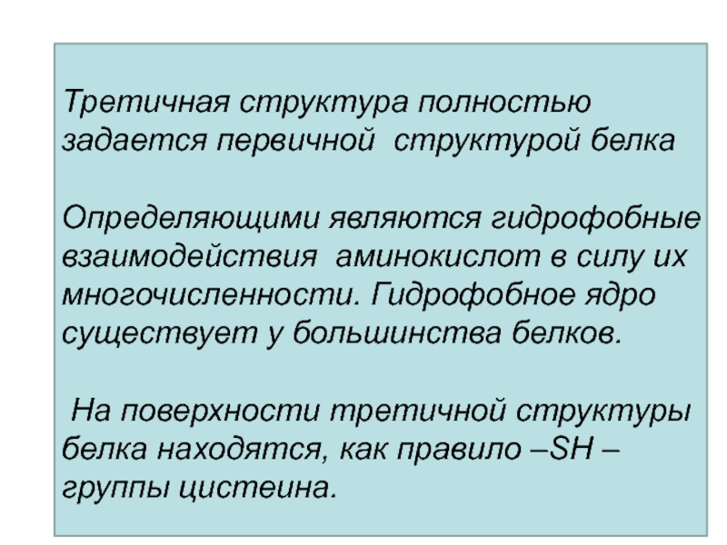 Большинство структура. Гидрофобное взаимодействие аминокислот. Белки становятся гидрофобными при.