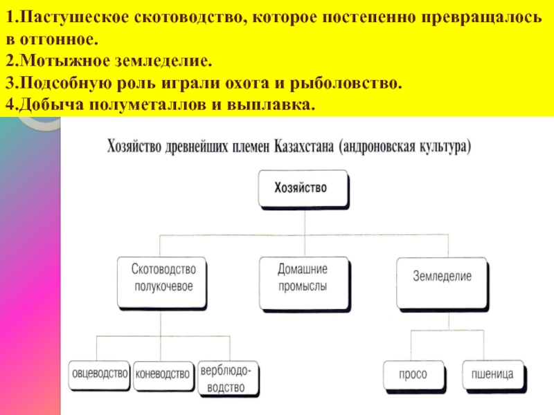 1.Пастушеское скотоводство, которое постепенно превращалось в отгонное. 2.Мотыжное земледелие. 3.Подсобную роль играли охота и рыболовство. 4.Добыча полуметаллов