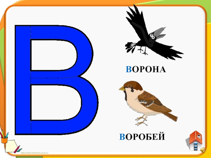 Буква ворона. Буква в ворона. Буква в Воробей. Ворона и Воробей. Буква в волк.