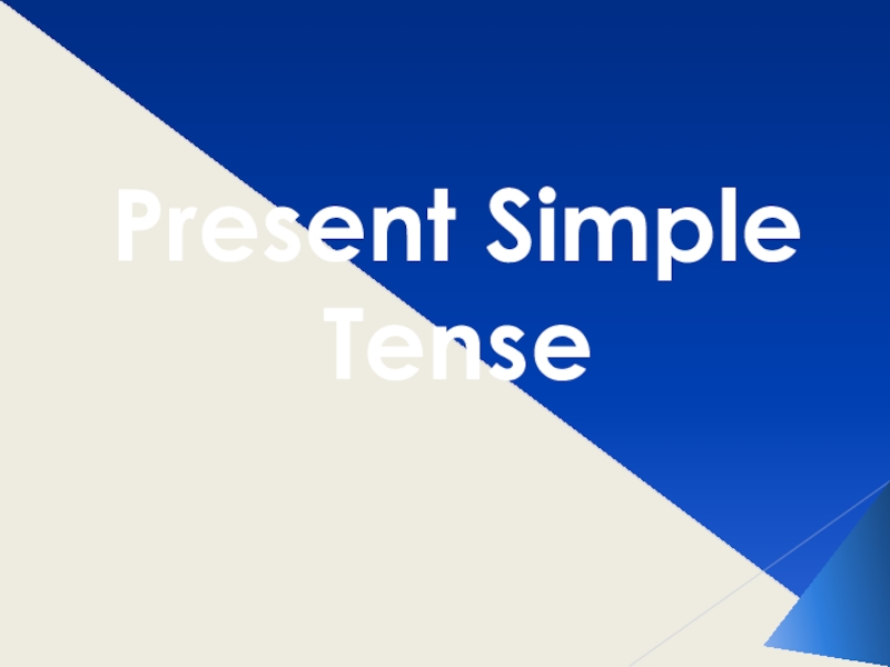 Present Simple Tense