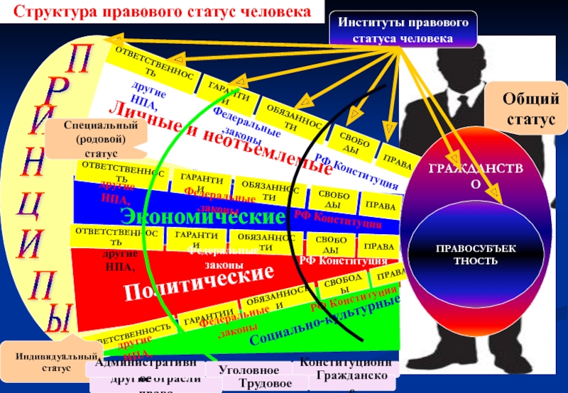 Структура правового статуса