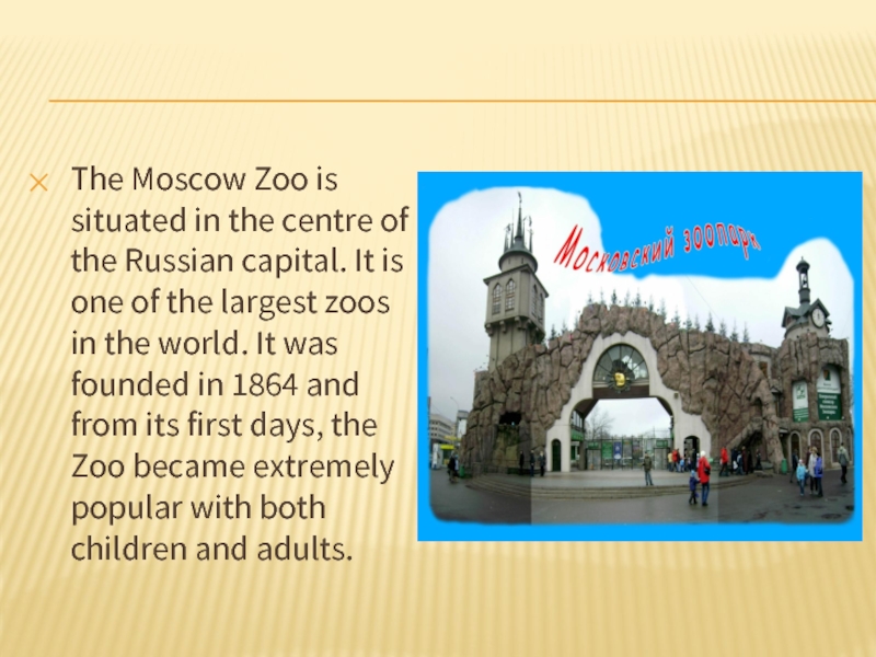 The Moscow Zoo is situated in the centre of the Russian capital. It is one of the