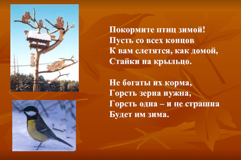 Покормите птиц зимой. Покормите птиц зимой пусть со всех. Покормите птиц зимой пусть со всех концов. Накормите птиц зимой, пусть со всех. Рубцов Покормите птиц зимой.