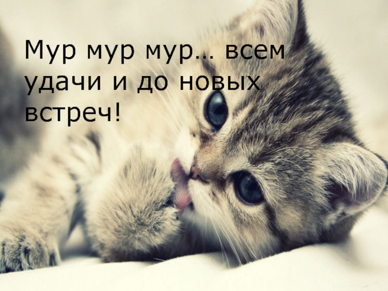 Мур это. Мур Мур. На все Мур Мур. Встреча Мур Мур картинки. Мур Мур твоя Крис.