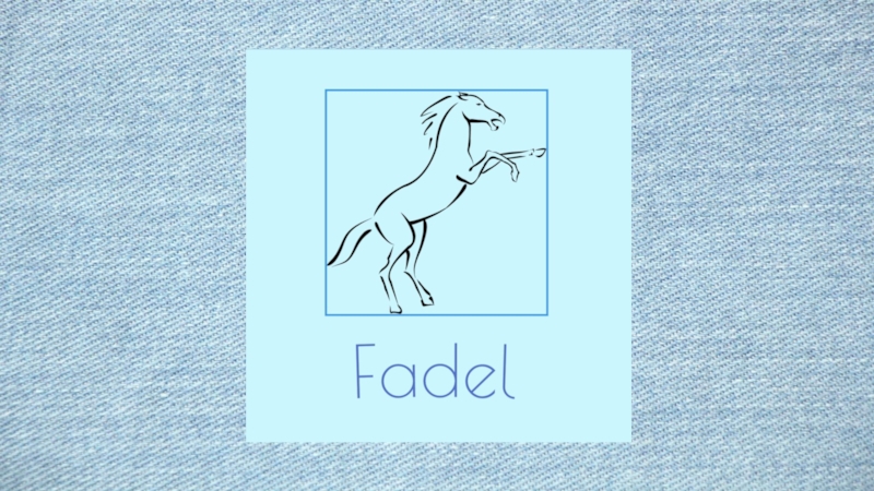 Презентация Fadel (1)