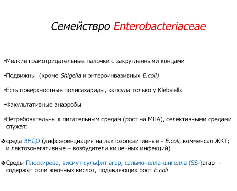 Презентация Семейство enterobact