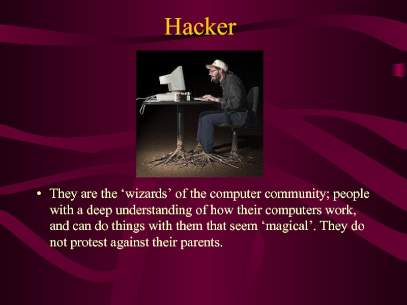 Hacker They are the ‘wizards’ of the computer community; people with a deep understanding of how their