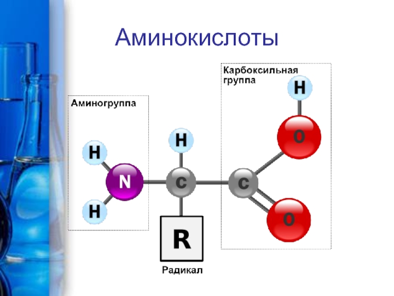 Аминокислоты