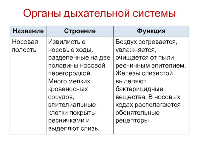 Дыхание организмов таблица.