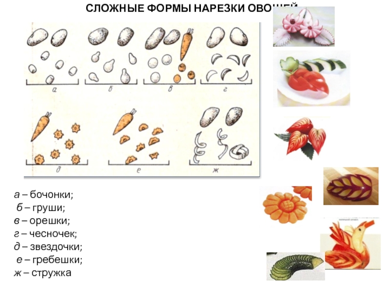 Подпиши под рисунками названия формы нарезки овощей