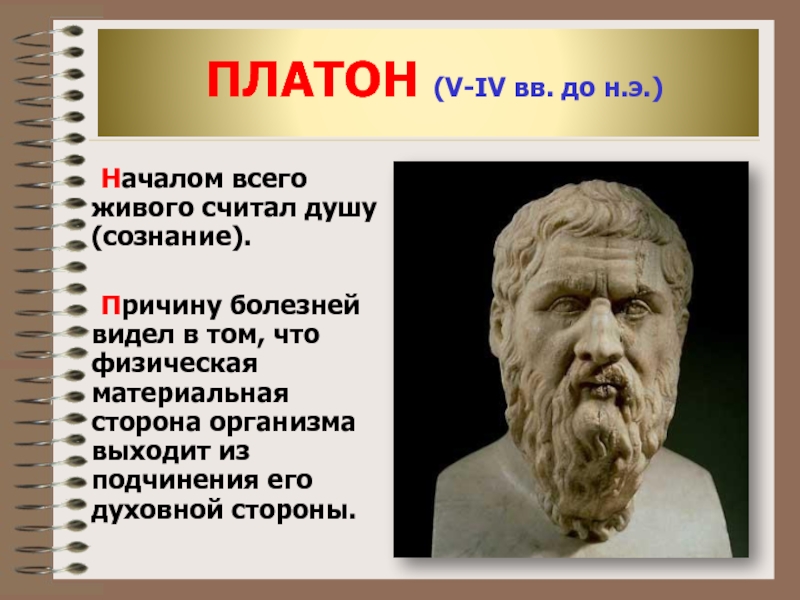 Платон считал. Платон медицина. Платон о сознании. Вклад Платона. Платон началом всего считал.