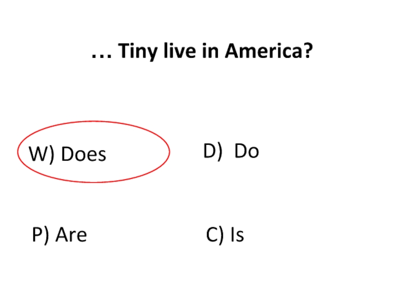 … Tiny live in America?
W ) Does
C ) Is
P ) Are
D ) Do