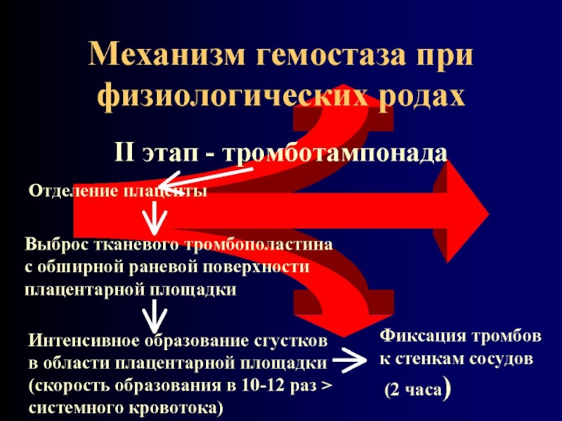 Послеродовое кровотечение презентация