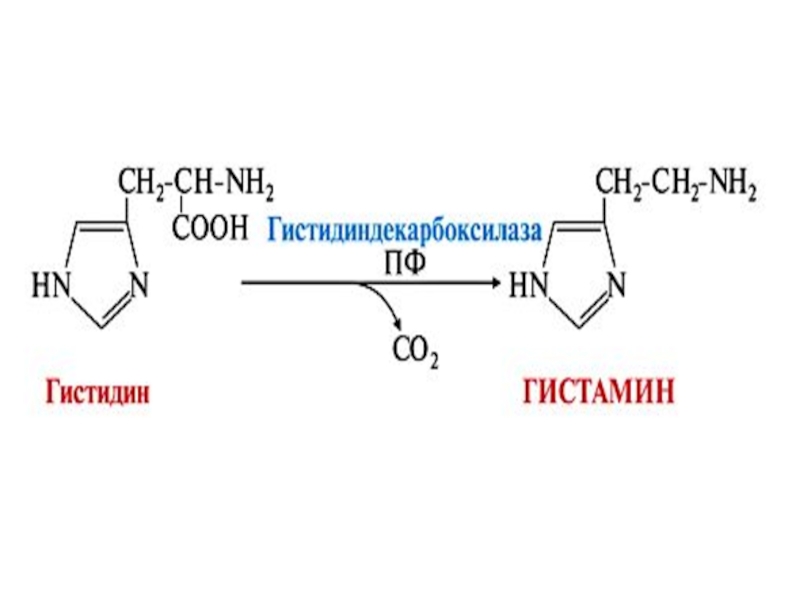 Гистамин это. Гистамин структурная формула. Гистамин формула. Гистамин формула химическая. Гистамин препарат.