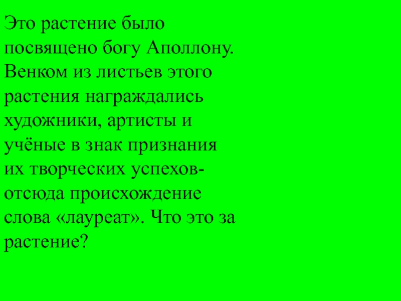 Проект слово победителя