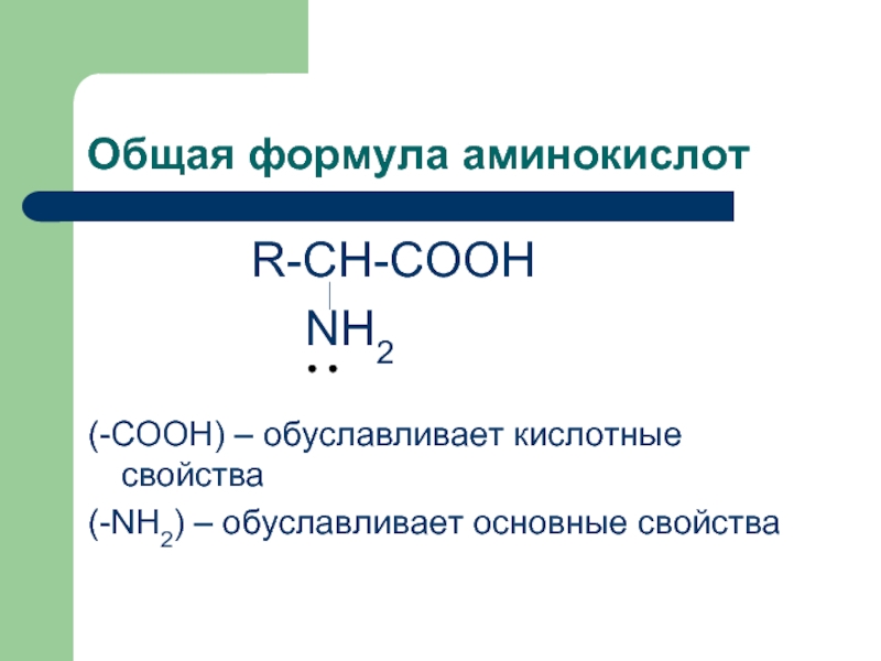 Презентация по теме амины