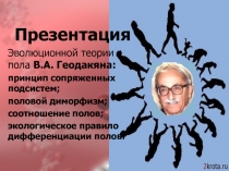 Презентация