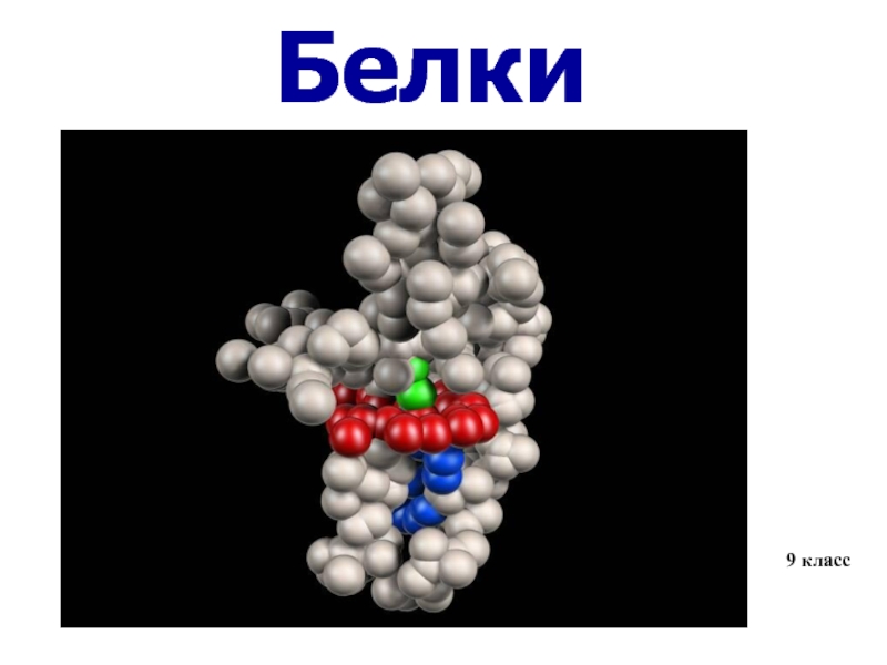 Белки
9 класс