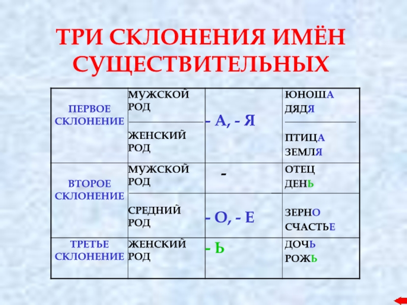 Тема склонение имен существительных