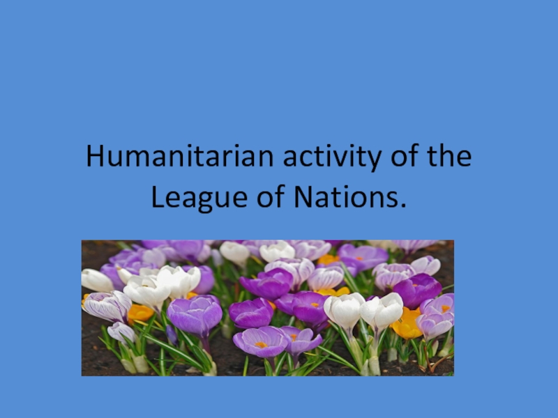 Humanitarian activity of the League of Nations