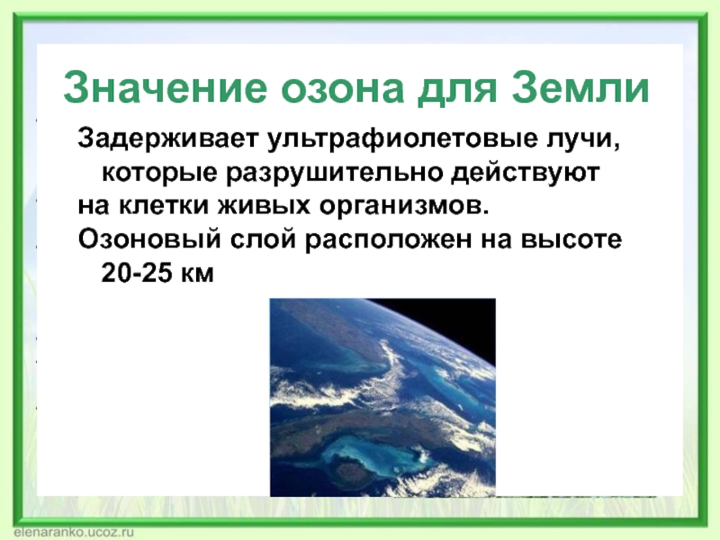 Значение озона на земле. Значение озона. Значимость озона. Значение озона для живых организмов.