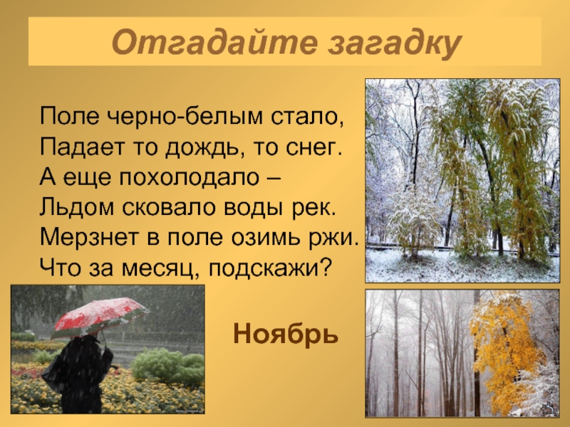 Осень картинки и описание