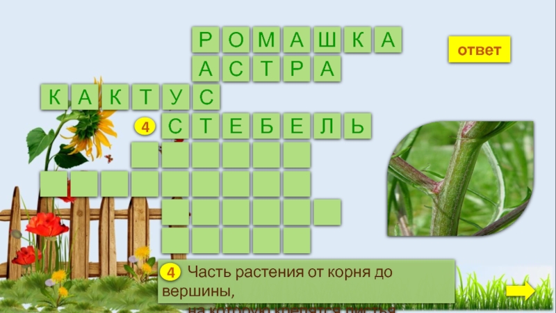 Род растений 5 сканворд. Кроссворд многообразие растений. Кросвордина тему разнообразие растений. Кроссворд разнообразие растений. Кроссворд по теме "разнообразие растений".