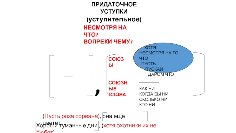 Придаточные условия