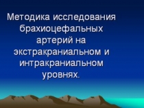 Занятие по УЗИ сосудов № 2