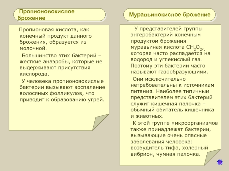 Может ли тушеная капуста вызывать брожение в животе