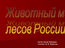 Животный мир лесов России