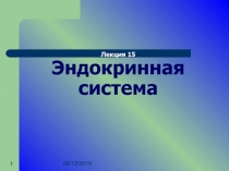 Эндокринная система 