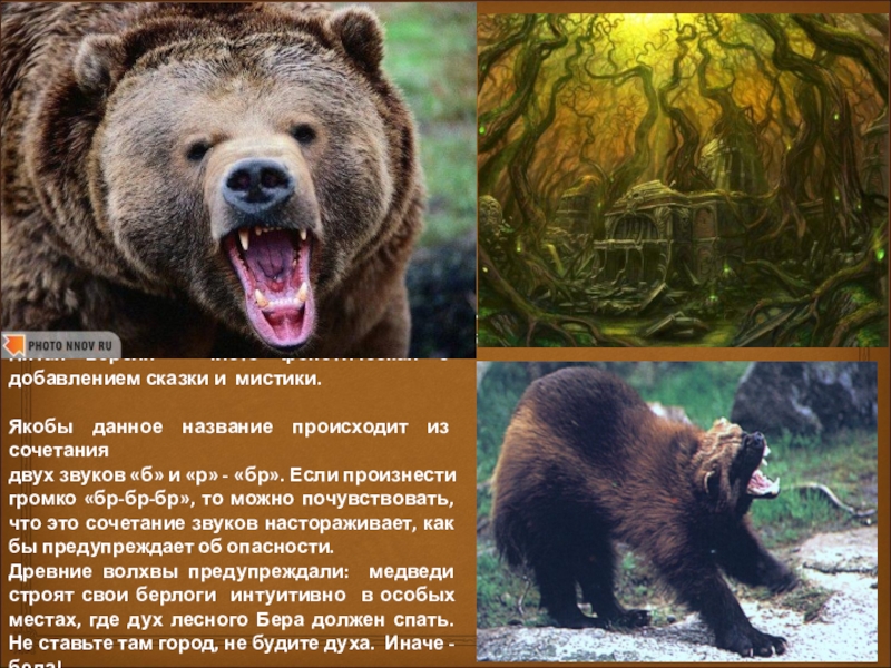 На какой вопрос отвечает медведь. Символ Германии медведь. Символ Берлина медведь. Медведь символ России на английском. Медведь с документами.