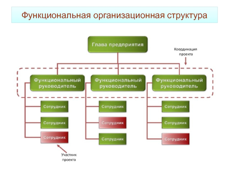 Функциональный объем проекта